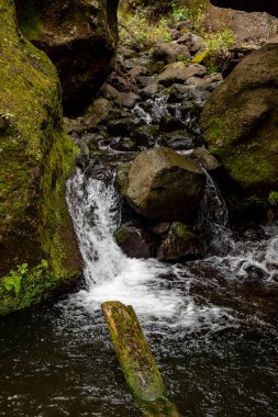 Levada do Moinho 'dan Levada Nova şelalesine yürüyüş