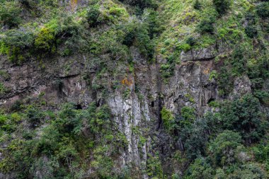 Levada do Moinho 'dan Levada Nova şelalesine yürüyüş