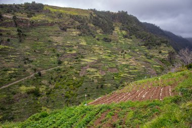 Levada do Moinho 'dan Levada Nova şelalesine yürüyüş