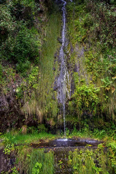 Levada Moinho Levada Nova Waterfall Hike — Stock Photo, Image