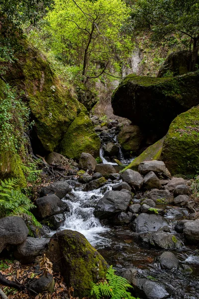 Levada Moinho Till Levada Nova Vattenfall Vandring — Stockfoto