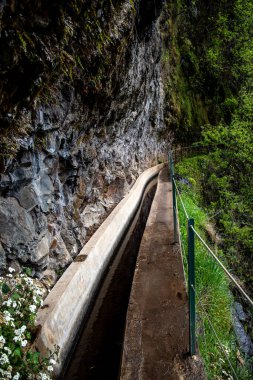 Levada do Moinho 'dan Levada Nova şelalesine yürüyüş