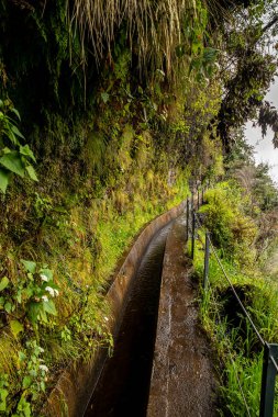 Levada do Moinho 'dan Levada Nova şelalesine yürüyüş