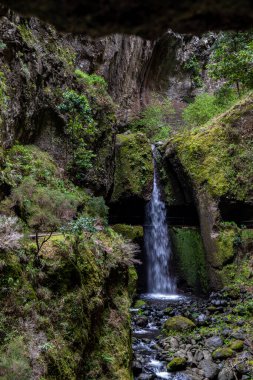 Levada do Moinho 'dan Levada Nova şelalesine yürüyüş
