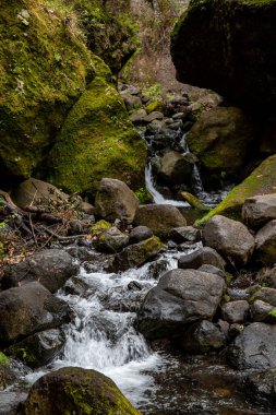 Levada do Moinho 'dan Levada Nova şelalesine yürüyüş