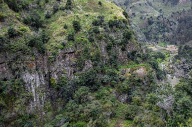 Levada do Moinho 'dan Levada Nova şelalesine yürüyüş