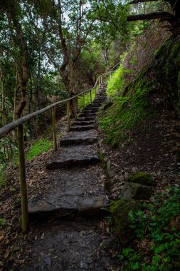 Levada do Moinho 'dan Levada Nova şelalesine yürüyüş