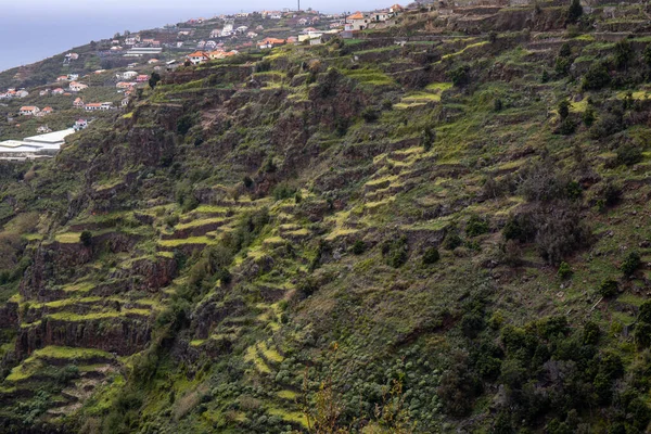 Levada Moinho Levada Nova Escursione Cascata — Foto Stock