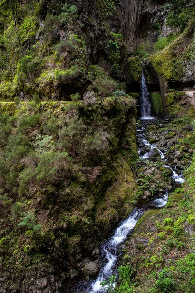 Levada Moinho Levada Nova Vízesés Túra — Stock Fotó