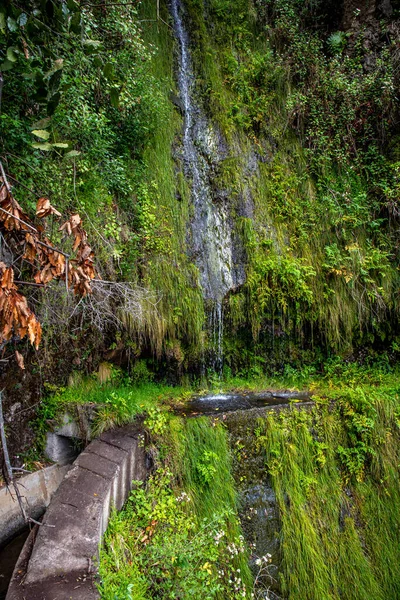 Caminhada Levada Moinho Até Cachoeira Levada Nova — Fotografia de Stock