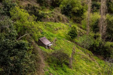 Levada do Moinho 'dan Levada Nova şelalesine yürüyüş