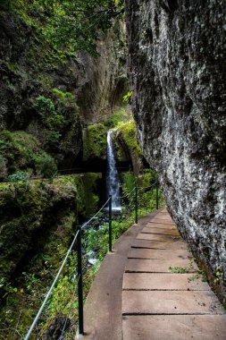 Levada do Moinho 'dan Levada Nova şelalesine yürüyüş