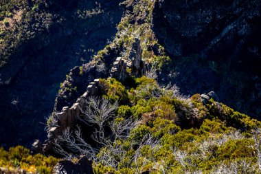 Görüntü: Pico Ruivo, Maderia