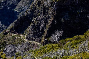 Görüntü: Pico Ruivo, Maderia