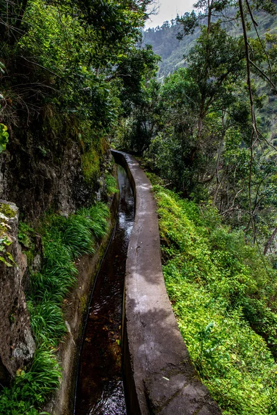 Caminhada Levada Moinho Até Cachoeira Levada Nova — Fotografia de Stock