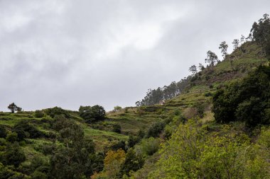 Levada do Moinho 'dan Levada Nova şelalesine yürüyüş