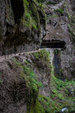 Levada do Moinho 'dan Levada Nova şelalesine yürüyüş