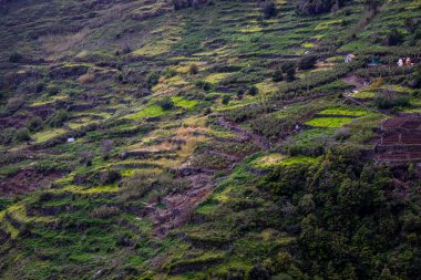 Levada do Moinho 'dan Levada Nova şelalesine yürüyüş