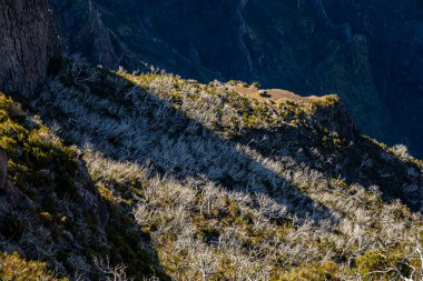 Görüntü: Pico Ruivo, Maderia