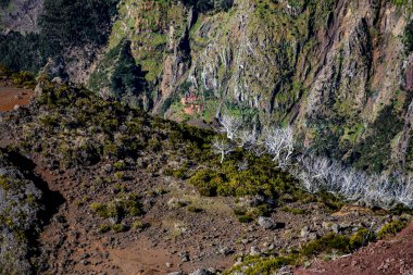 Görüntü: Pico Ruivo, Maderia