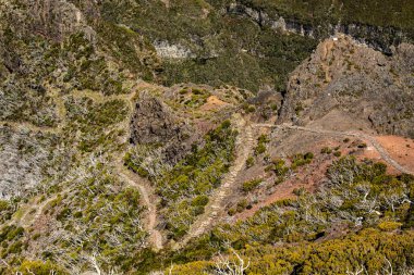 Görüntü: Pico Ruivo, Maderia