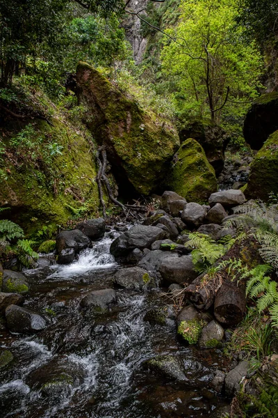 Levada Moinho Till Levada Nova Vattenfall Vandring — Stockfoto