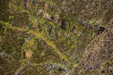 Görüntü: Pico Ruivo, Maderia