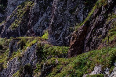 Vereda Larano yürüyüş parkurunda, Madeira