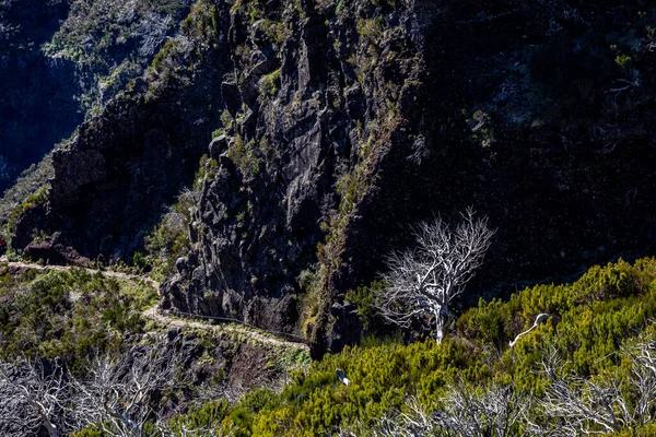 Görüntü: Pico Ruivo, Maderia