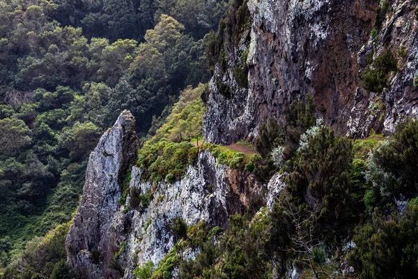 Vereda Larano yürüyüş parkurunda, Madeira