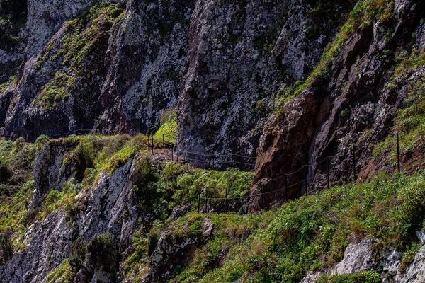 Vereda Larano yürüyüş parkurunda, Madeira
