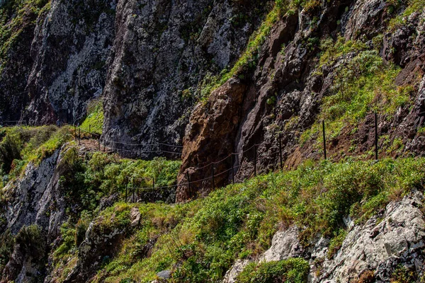 Vereda Larano yürüyüş parkurunda, Madeira