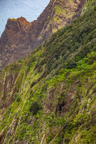 Vereda Larano Vandringsled Madeira — Stockfoto