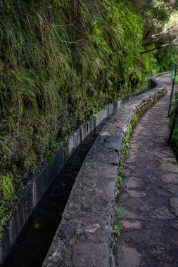 Vereda Maderia 'da yürüyüş yapan 25 yazı tipi