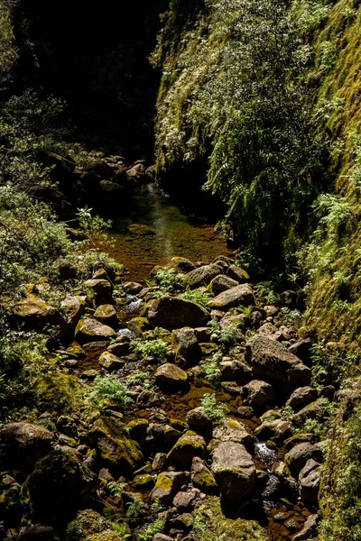 Vereda Das Fontes Randonnée Sur Maderia — Photo