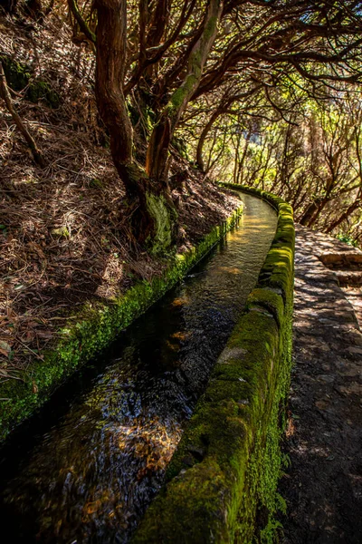 Vereda Das Fontes Wandern Auf Maderia — Stockfoto