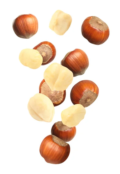 Tasty Hazelnuts Falling White Background Healthy Snack — Stock Photo, Image