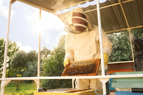 養蜂家で制服で蜂蜜フレームとともにApiary — ストック写真