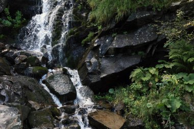 Dağ şelalesinin ve yeşil bitkilerin resimli manzarası