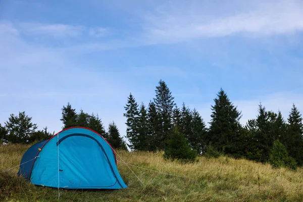 Blå Campingtält Grönt Gräs Nära Skog Utrymme För Text — Stockfoto