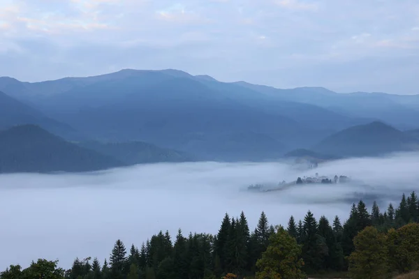 Pintoresca Vista Las Montañas Bosque Cubierto Niebla Por Mañana —  Fotos de Stock