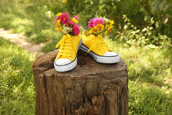 Sapatos Com Belas Flores Toco Árvore Livre — Fotografia de Stock