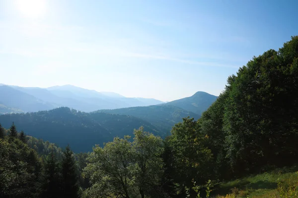 Malowniczy Widok Piękny Las Górski Godzinach Porannych — Zdjęcie stockowe