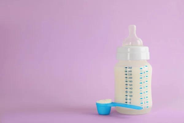 Feeding bottle with infant formula and scoop of powder on lilac background, space for text. Baby milk