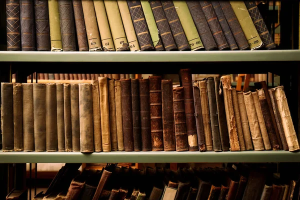 Samling Gamla Böcker Hyllor Biblioteket — Stockfoto