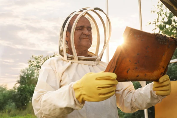 養蜂家で制服で蜂蜜フレームとともにApiary — ストック写真