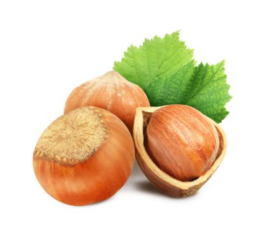 Beyaz arka planda lezzetli fındıklar ve yeşil yapraklar