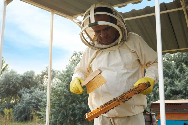 Пчеловод Форме Чистит Медовую Раму Пасеке — стоковое фото