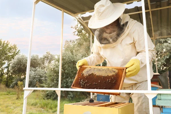 Bijenhouder Uniform Met Honinglijst Bij Bijenstal — Stockfoto