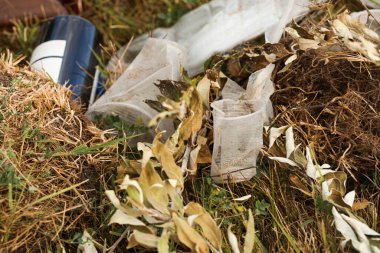 Çimlere saçılmış çöp. Çevre kirliliği sorunu